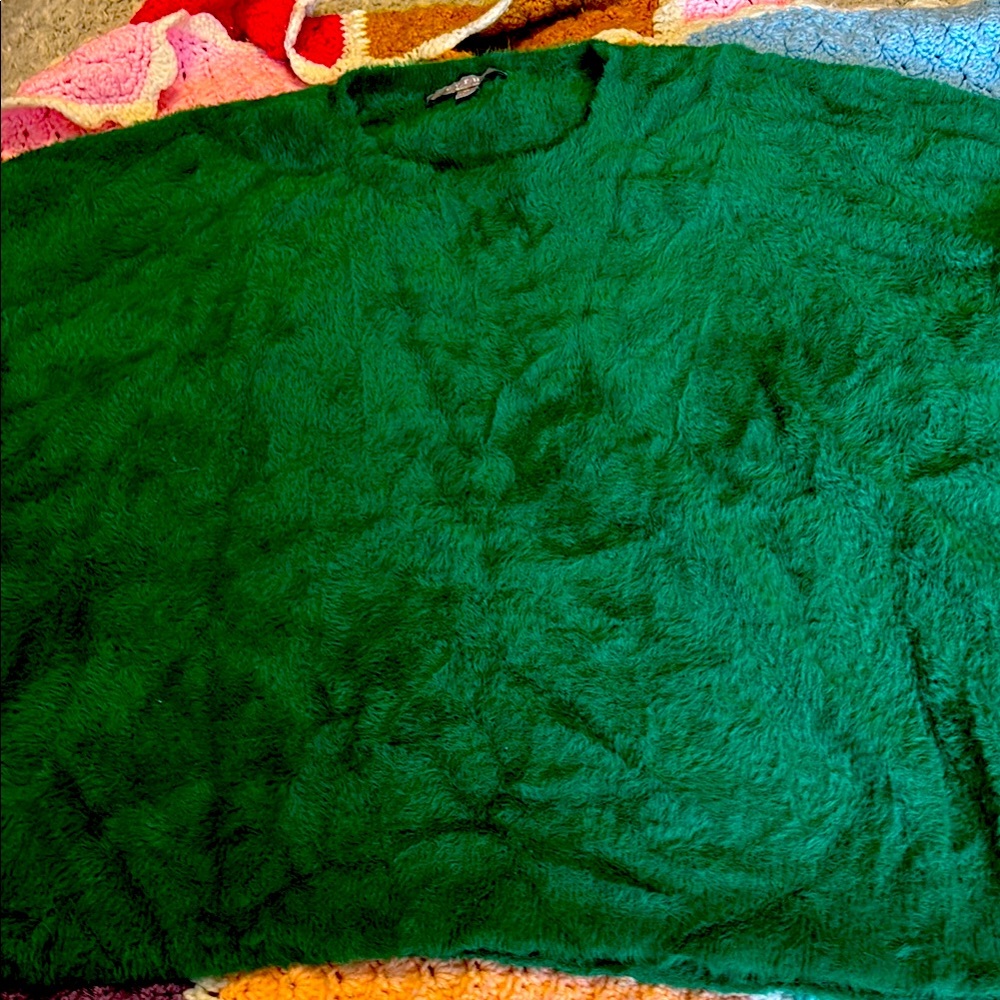 Cyrus Green Fuzzy Sweater